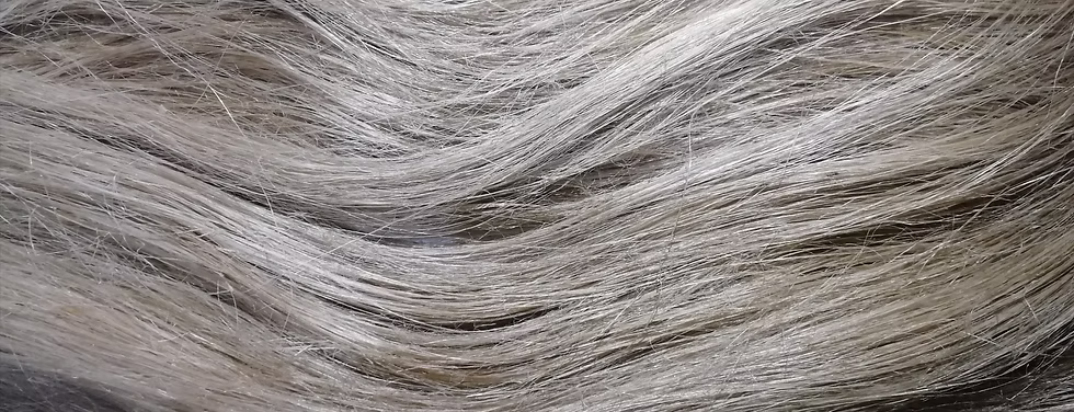 b8a55b_10b3be5529f544e1834e9cff15fc47ad~mv2